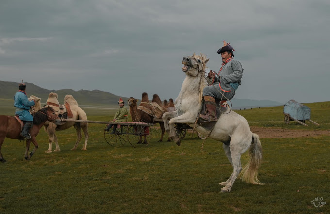 Traditional Mongolian horsemanship